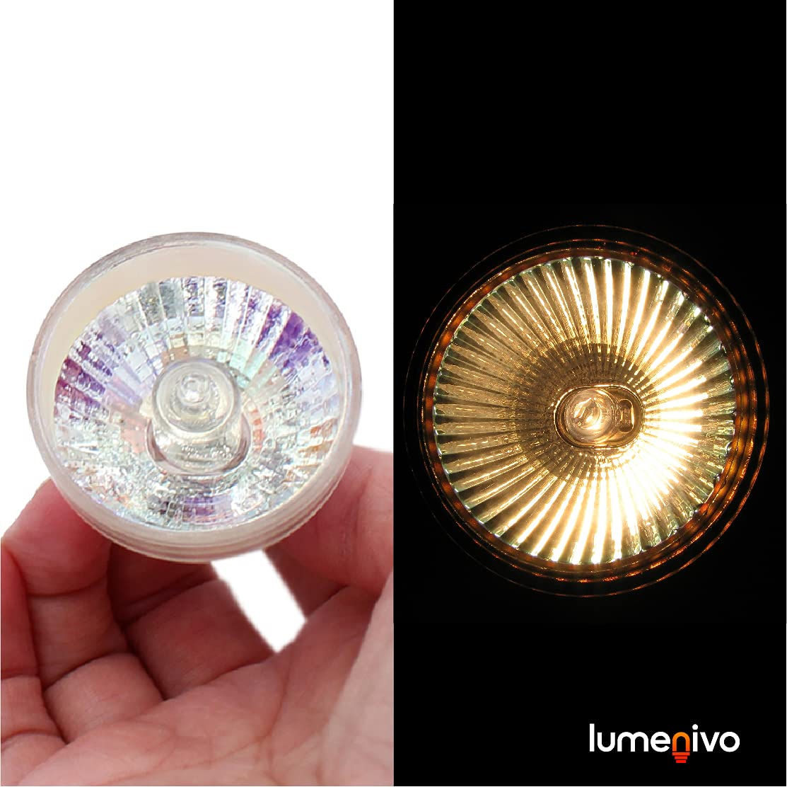 Amazon.com: lumenivo EXR Bulb 300W 8V 3350K Lamp for Kodak